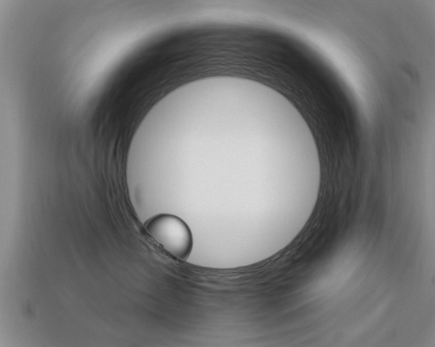 X0000113300431200909140949