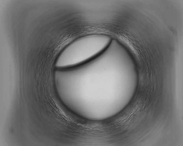 X0000113300433200909140948