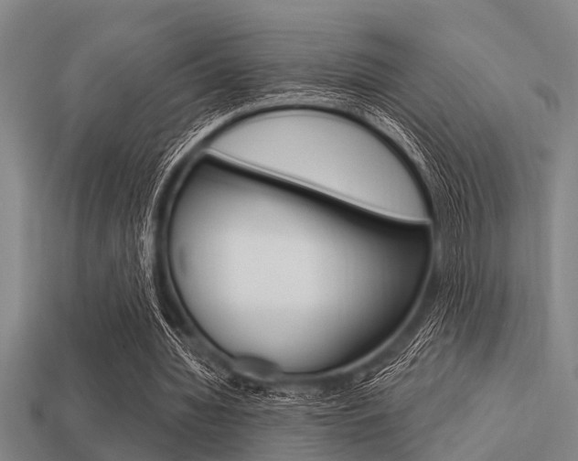 X0000113300436200909140948