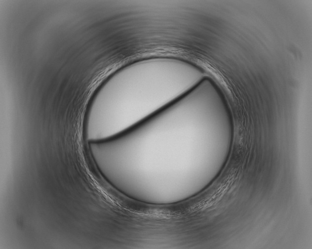 X0000113300437200909140948