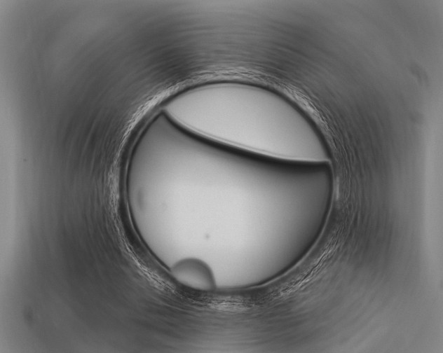 X0000113300438200909140948