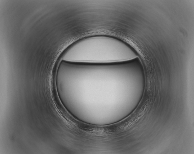 X0000113300439200909140948