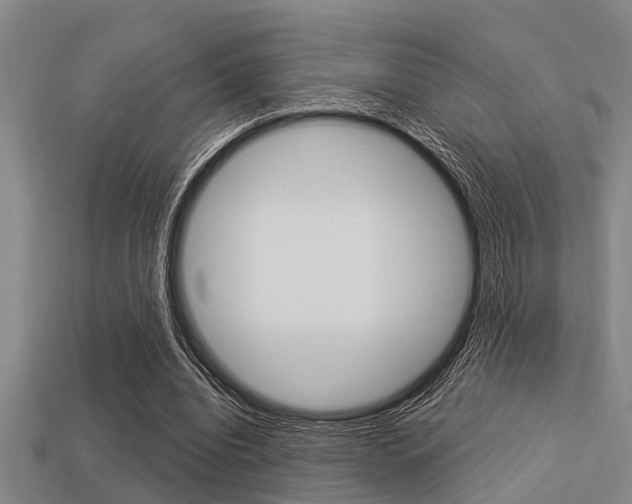X0000113300440200909140948