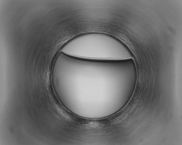 X0000113300441200909140948