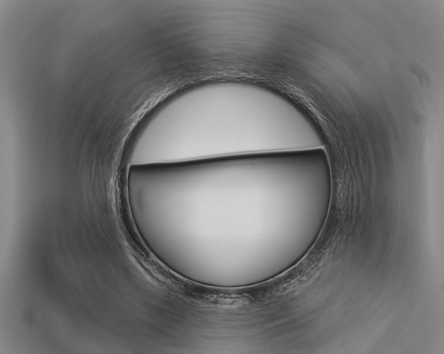 X0000113300443200909140948