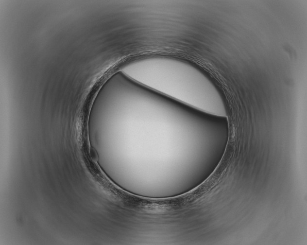 X0000113300444200909140948