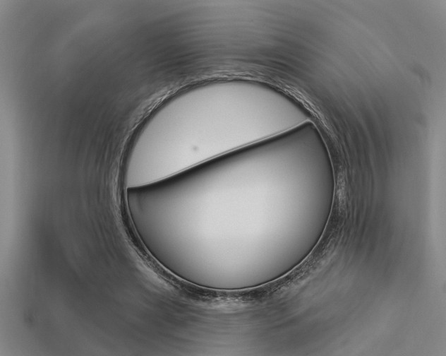 X0000113300445200909140948