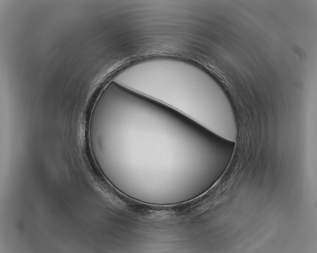 X0000113300446200909140948