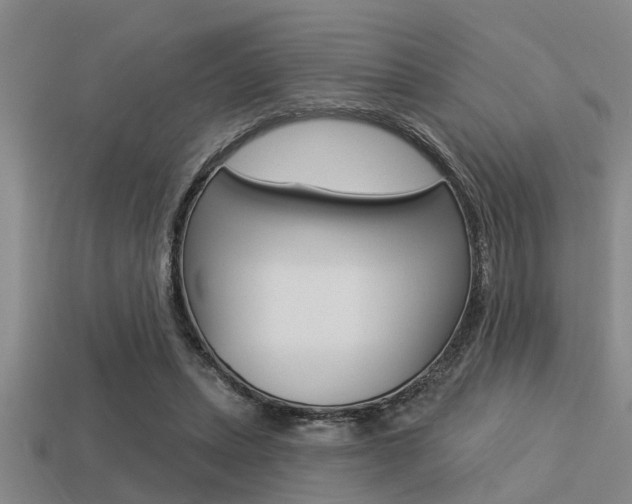 X0000113300447200909140948