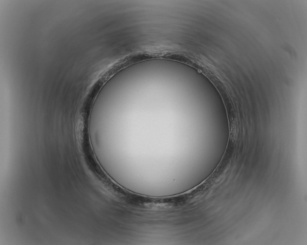 X0000113300448200909140948
