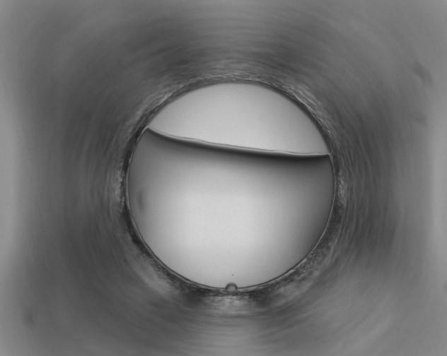 X0000113300449200909140948