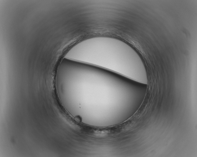 X0000113300450200909140948