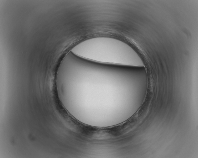 X0000113300451200909140948
