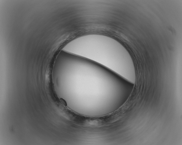 X0000113300452200909140948