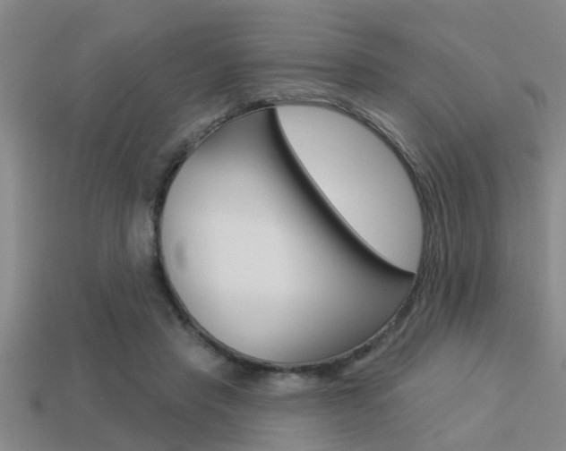 X0000113300453200909140948