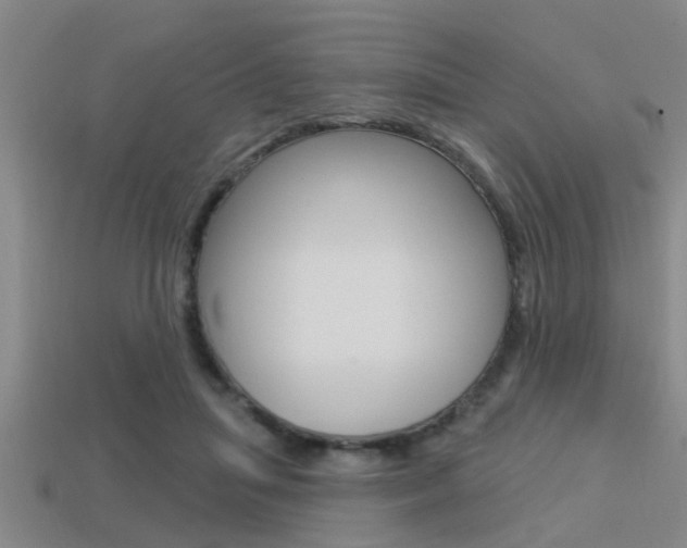 X0000113300455200909140948