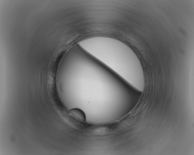 X0000113300456200909140948