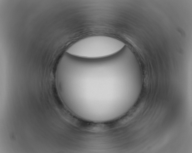 X0000113300459200909140949
