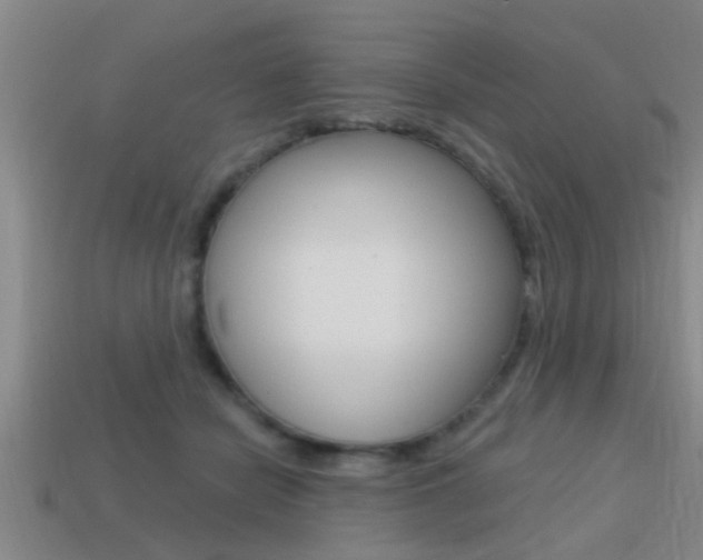 X0000113300462200909140949