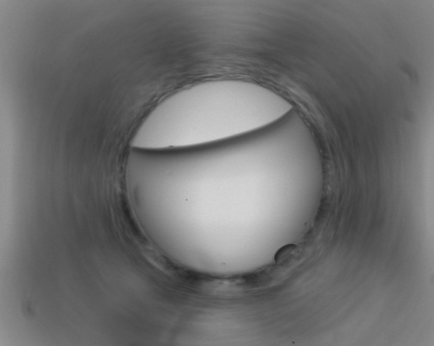 X0000113300465200909140949