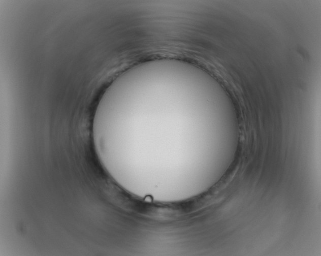 X0000113300466200909140949