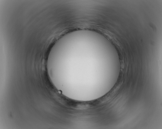 X0000113300470200909140949