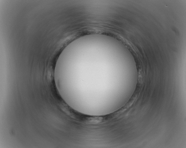 X0000113300474200909140949
