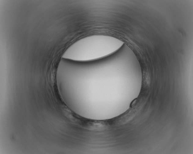 X0000113300475200909140949