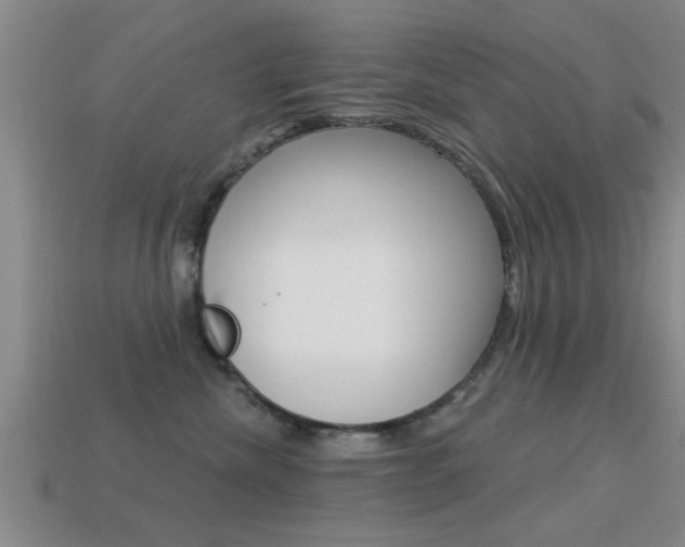 X0000113300476200909140949
