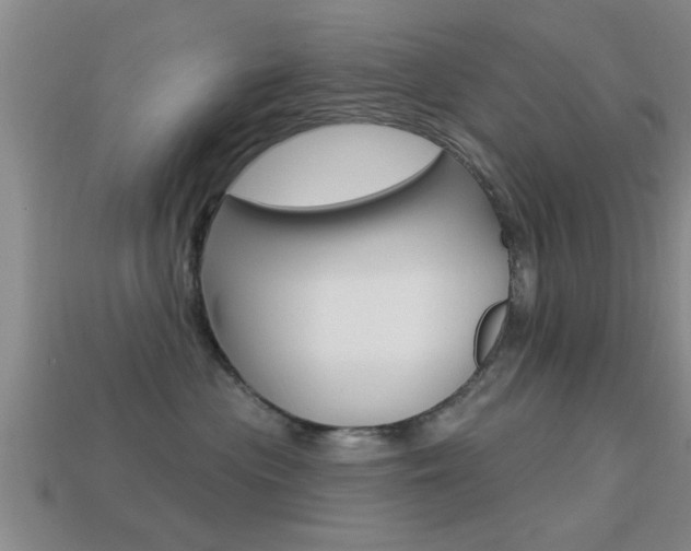 X0000113300477200909140949