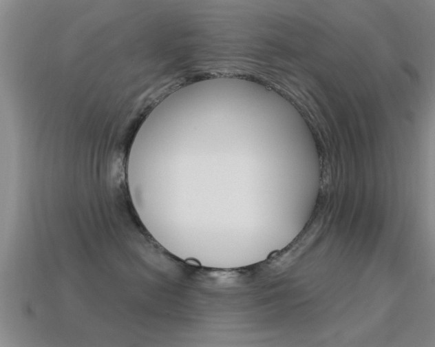 X0000113300478200909140949