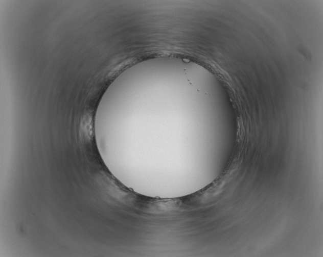 X0000113300479200909140949