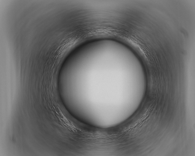 X0000113300481200909140948