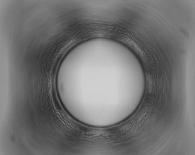 X0000113300482200909140948