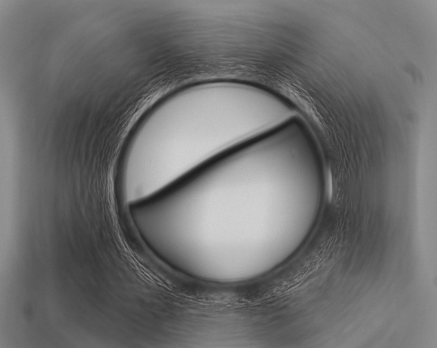 X0000113300483200909140948