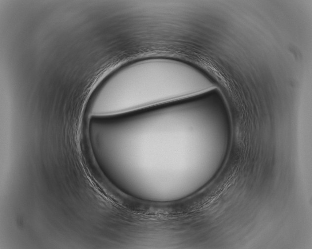 X0000113300484200909140948