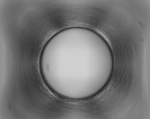 X0000113300485200909140948