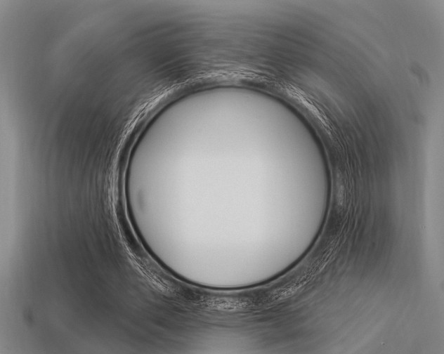 X0000113300486200909140948