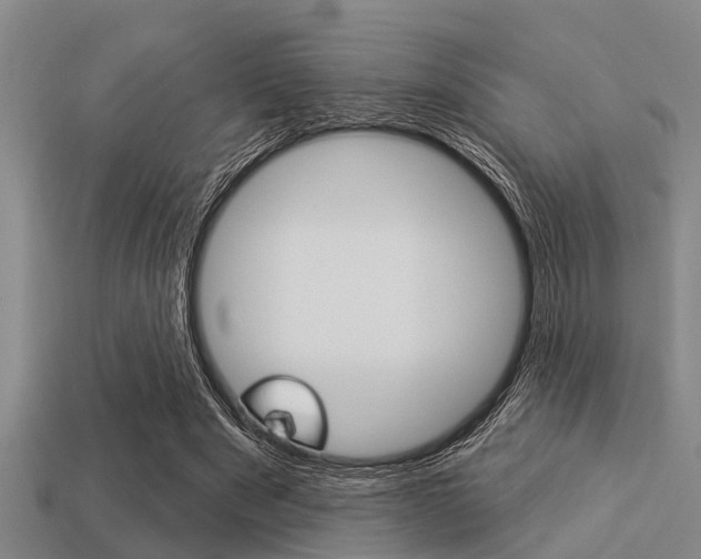 X0000113300489200909140948