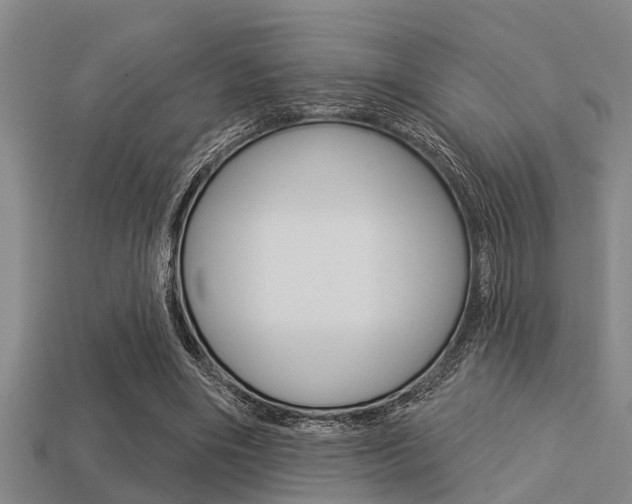 X0000113300490200909140948
