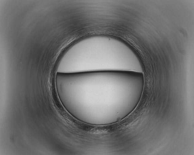 X0000113300491200909140948