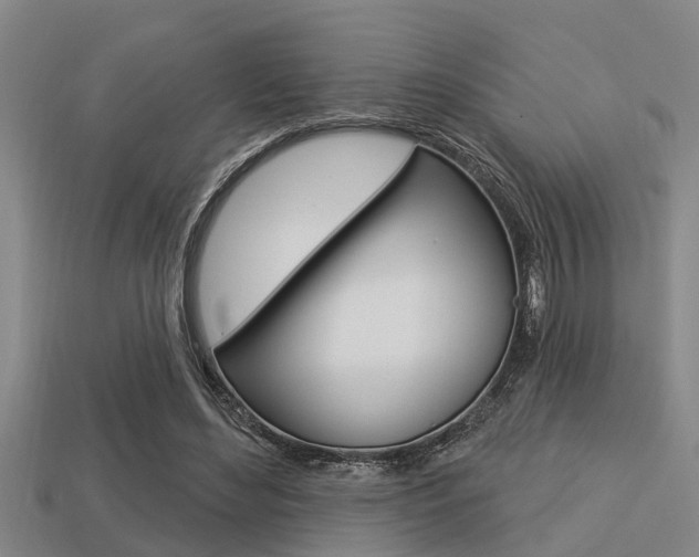 X0000113300492200909140948