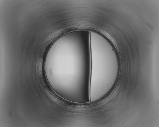 X0000113300493200909140948