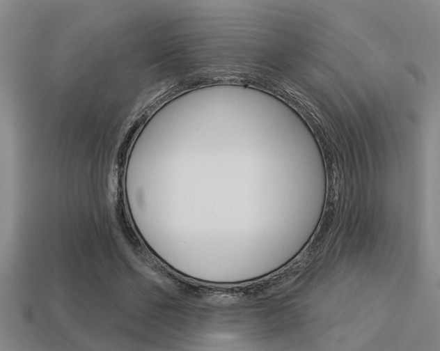 X0000113300494200909140948
