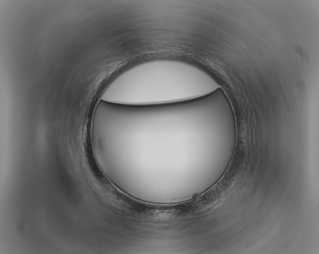 X0000113300495200909140948