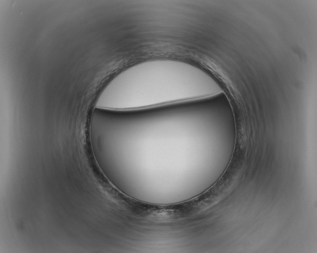 X0000113300497200909140948
