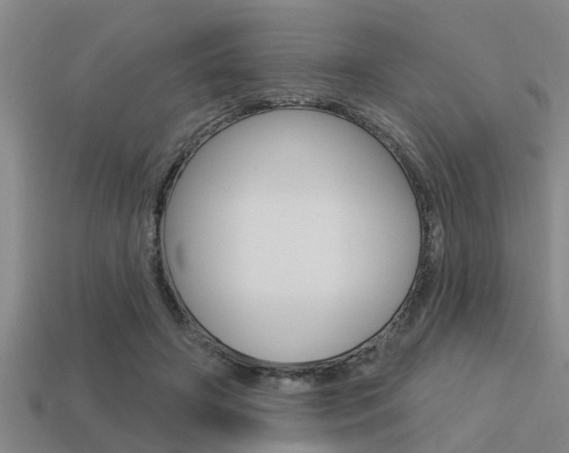 X0000113300498200909140948