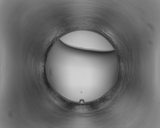 X0000113300499200909140948