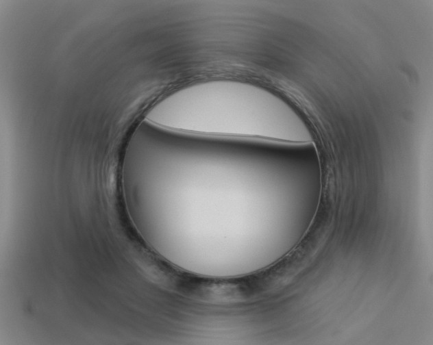 X0000113300501200909140948