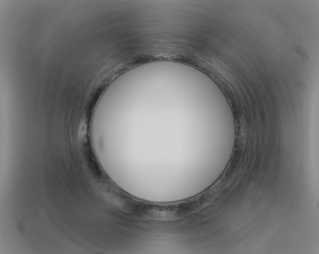 X0000113300502200909140948